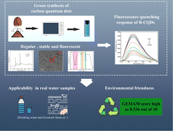 Graphical abstract: Highly selective sensing of tetracycline by fluorescent carbon dots derived from spent coffee grounds via a green microwave route