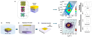 Graphical abstract: Strain evolution and in situ phase transitions in freestanding BaTiO3 epitaxial membranes via a La2/3Sr1/3MnO3 sacrificial layer