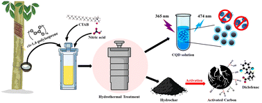 Graphical abstract: Sustainable co-production of carbon quantum dots and activated carbon from natural rubber latex for the inhibition of pathogenic microorganisms and removal of pharmaceutical residues