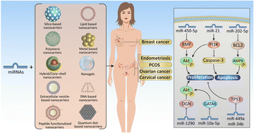 Graphical abstract: Empowering women's health with miRNA-integrated nanochemical approaches: from reproductive health to cancer care