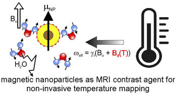 Graphical abstract: Nuclear relaxation in agar gel in the presence of highly concentrated PEG coated magnetic nanoparticles at low magnetic fields. Application of temperature dependent weighting for MRI thermometry