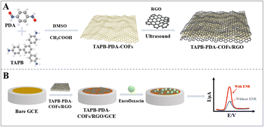 Graphical abstract: A covalent organic framework/reduced graphene oxide composites-based electrochemical sensing platform for the detection of enrofloxacin