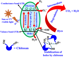 Graphical abstract: Photocatalytic degradation of dyes by metal sulfide–chitosan based composites: a comprehensive review