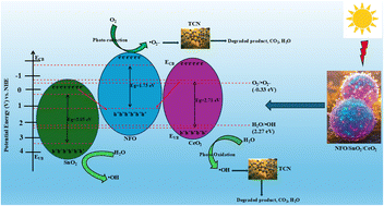 Graphical abstract: Surface engineered NiFe2O4/SnO2/CeO2 ternary heterojunction for dual applications in photocatalytic water treatment and supercapacitors