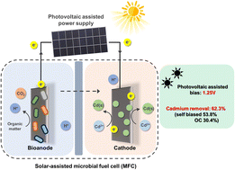 Graphical abstract: Solar-powered bioelectrochemical system for efficient cadmium remediation and recovery of reusable solids
