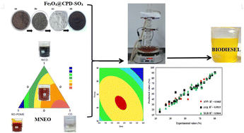 Graphical abstract: Machine learning-informed one-pot biodiesel synthesis from an optimally formulated mixed non-edible oil feedstock over magnetic sulfonated biobased catalyst