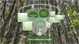 Graphical abstract: From experimental data to thermophysical insight: characterizing choline-based ionic liquids using advanced data analysis