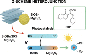 Graphical abstract: Fabrication of a Z-scheme 3D/2D MgIn2S4/BiOBr heterojunction for enhanced photocatalytic removal of ciprofloxacin in water