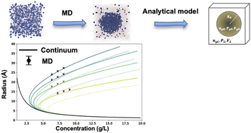 Graphical abstract: An integrated molecular–thermodynamic framework for analyzing nanobubbles in supersaturated liquids