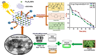 Graphical abstract: A green and sustainable approach using Thuja occidentalis-mediated Fe3O4 QDs decorated on rGO NSs for enhanced photocatalytic degradation of antibiotics
