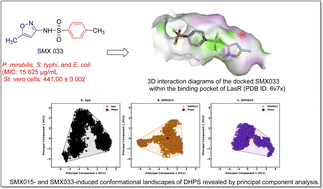 Graphical abstract: Dual-targeting sulfamethoxazole derivatives overcome multidrug resistance in ESKAPE pathogens by inhibiting quorum sensing and efflux pumps