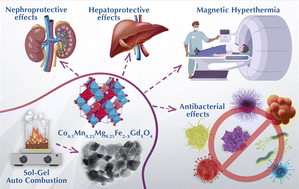 Graphical abstract: Gd3+ engineered Co–Mn–Mg spinel nanoferrites for multifunctional theranostics: magnetic hyperthermia, antioxidant hepatoprotection, and antibacterial activity