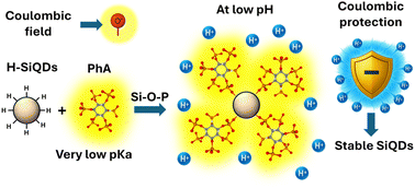 Graphical abstract: Green and scalable surface functionalization of silicon quantum dots using water-soluble organic acids for sustainable hybrid materials
