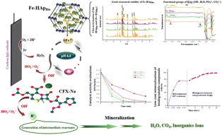 Graphical abstract: Synthesis, characterization, and performance of the Fe-HApBio heterogeneous catalyst for electro-Fenton degradation of cefuroxime sodium