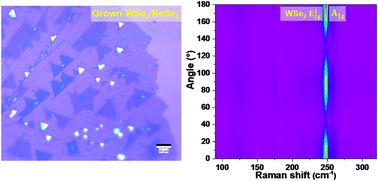 Graphical abstract: Optical anisotropy induced by ultra-strong interfacial coupling in CVD-grown WSe2/ReSe2 vertical heterostructures