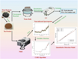 Graphical abstract: Detection of polyphenols-to-amino acids ratio in Wuyi Rock Tea via CARS-PLSR processing of near infrared spectroscopy