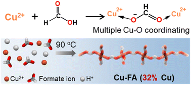 Graphical abstract: A high-copper-content metal–organic framework with potential antibacterial activities