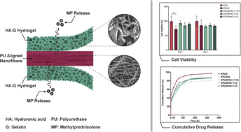 Graphical abstract: Biomimetic multi-layer scaffolds with aligned polyurethane nanofibers and tailored hyaluronic acid/gelatin hydrogels for sustained methylprednisolone release in potential cardiovascular applications
