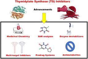 Graphical abstract: Bridging mechanism and design: modern medicinal chemistry approaches to thymidylate synthase inhibitors