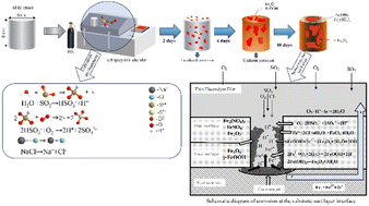 Graphical abstract: Research on the initial corrosion behavior of A100 steel in salt fog-SO2 environment