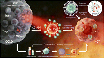 Graphical abstract: The application of ICG-based photodynamic therapy combined with nanotechnology in tumor treatment