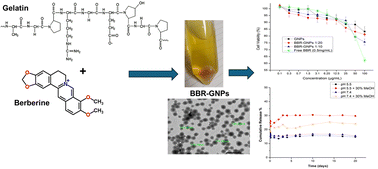 Graphical abstract: Enhanced controlled drug delivery of berberine-loaded gelatin nanoparticles: characterization and in vitro assessment