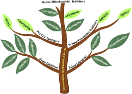 Graphical abstract: Mechanistic perspectives on antimalarial agents: from FDA-approved drugs to next-generation candidates