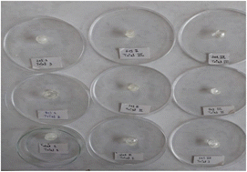 Graphical abstract: pH-responsive hyaluronic acid-co-poly(acrylic acid) hydrogel scaffolds for modified release of mesalamine; characterization and biosafety evaluation