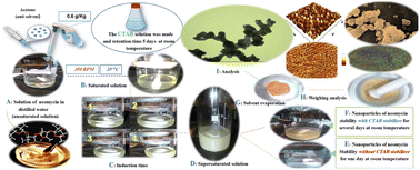 Graphical abstract: Impact of supersaturation on growth, critical radius, and size in neomycin nanoparticle crystallization using anti-solvent and CTAB