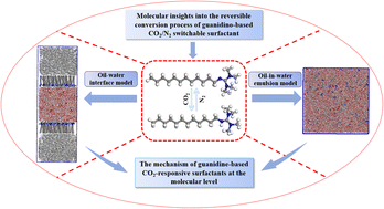 Graphical abstract: Molecular insights into the oil-in-water emulsification and demulsification of guanidino-based CO2/N2 switchable surfactants