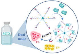Graphical abstract: A synergistic dual-mode biosensor for methotrexate detection leveraging FRET and Ag NP-based UV absorption