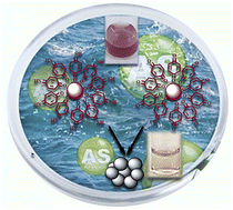 Graphical abstract: Colorimetric sensing of arsenic ions in water using a mixture of p-quinonimine- and p-quinone-functionalized gold nanoparticles
