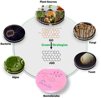 Graphical abstract: Towards greener reduced graphene oxide: a critical review of environmentally driven reduction strategies