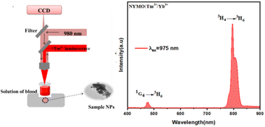 Graphical abstract: Multifunctional Tm3+/Yb3+:Na5Y (MoO4)4 nanocrystals for simultaneous luminescent nanothermometry, photothermal therapy and deep bioimaging in the NIR-I window
