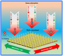 Graphical abstract: Enhanced sensing characteristics of N doped and (N, O) co-doped molybdenum disulfide to detect toxic gases: a comprehensive first-principles study