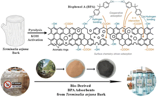 Graphical abstract: Bio-derived carbon adsorbents from Terminalia arjuna bark for efficient bisphenol A removal: mechanistic insights toward sustainable water treatment