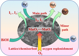 Graphical abstract: Boosting elemental mercury capture via an iodine-mediated pathway over a ternary BiOI-MnOx-TiO2 catalyst