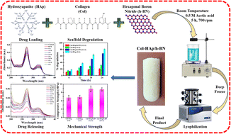 Graphical abstract: Biocompatible protein–nanomaterial scaffolds for controlled drug delivery