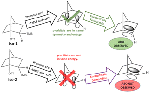 Graphical abstract: Towards the selectivity and energetics of anti-Bredt olefins – a density functional theory approach