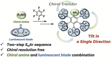 Graphical abstract: Merging dynamic and static chirality in propeller-shaped carbazole oligomers via chiral amine substitution