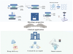 Graphical abstract: Unveiling the rheological secrets of hydrogels: from lab to clinical translation