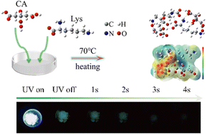 Graphical abstract: Molecular mechanism of biocompatible clusteroluminogens from citric acid and l-lysine