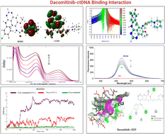 Graphical abstract: Multimodal investigation of dacomitinib–calf thymus DNA binding interaction: insights from spectroscopy, thermodynamics, and in-silico studies