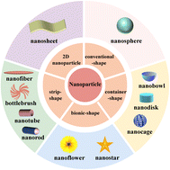 Graphical abstract: Advances in NP shapes and their applications in cancer therapy