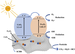 Graphical abstract: A novel magnetic AC/bentonite/Fe3O4/CeO2 nanocomposite catalyst for photocatalytic degradation of persistent chlorinated pesticides in water