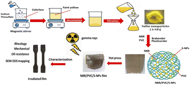 Graphical abstract: Enhancing gamma-irradiated NBR/PVC blends with sulfur nanoparticles as a crosslinking promoter