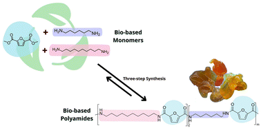 Graphical abstract: Synthesis and characterisation of bio-derived furan-based polyamides copolymers from dimethyl furan-2,5-dicarboxylate