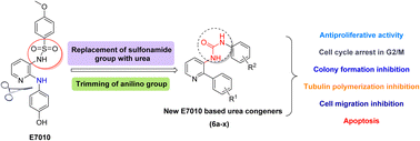 Graphical abstract: Synthesis and anti-proliferative activity of new E7010 tethered urea congeners as potential tubulin inhibitors and apoptosis inducers