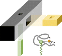 Graphical abstract: Mechanism of action of a boron-dependent antibiotic entails synergistic binding