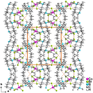 Graphical abstract: Correlated structural, vibrational and dielectric properties of the [(C4H9)4N]2CoBr4 compound: origin of low-frequency polarization